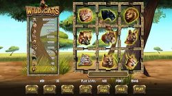 Wild Cats skill game