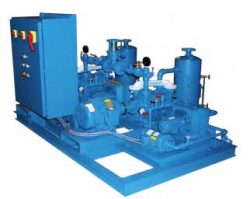 Peerless Engineering Provides Edwards Vacuum Pumps