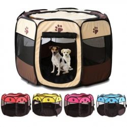 Buy pet essentials online