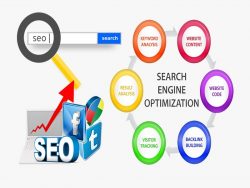 Professional SEO Services in Cork – SENECA Digital