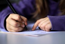 Writing Essay Writing Help To Score High Marks