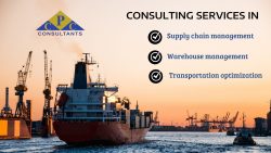 Expert Consulting Services