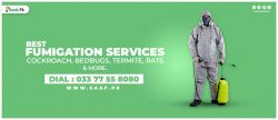 Fumigation Services in Karachi