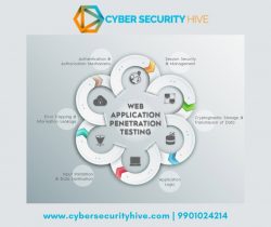 Web Application Penetration Testing