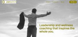 leadership coaching services