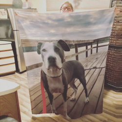 Custom Dog Blankets Personalized Pet Photo Blankets Custom Collage