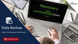 Backup and Data Recovery Services