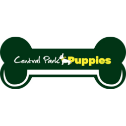 Puppies for Sale NY USA – Central Park Puppies