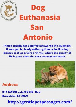 Dog Euthanasia San Antonio – Gentle Pet Passages