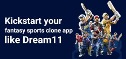 Fantasy Sports Tech – Dream11 Clone App Development Company