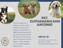 Pet Euthanasia San Antonio – Gentle Pet Passages