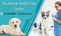 Providing The Best Vet Services