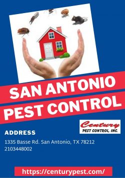 San Antonio Pest Control – Century Pest Control