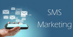 Bulk Sms | Bulk Sms service provider in Delhi | Bulk sms Delhi