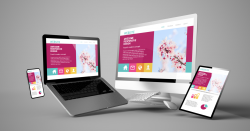 Website Design & Development