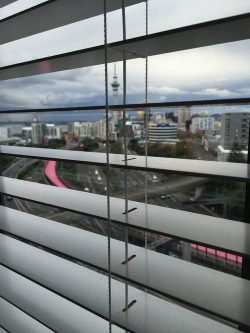 Venetian Blinds In Auckland: