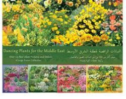 Annuals for Middle East