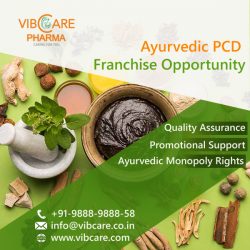 Ayurvedic Pharma Franchise Company