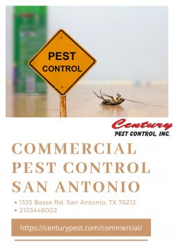 Commercial Pest Control – Century Pest Control