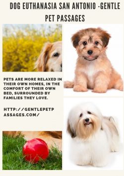 Dog Euthanasia San Antonio – Gentle Pet passages