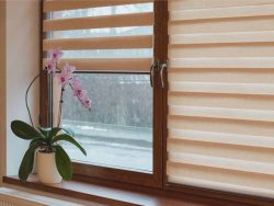 Motorised Roller Blinds