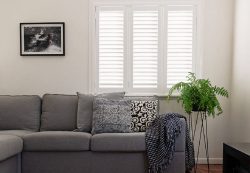 Buy Roller Blinds Online