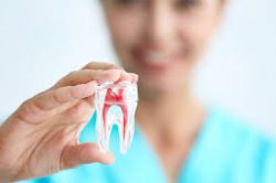 Traditional Metal Braces – Dentist In Houston, TX