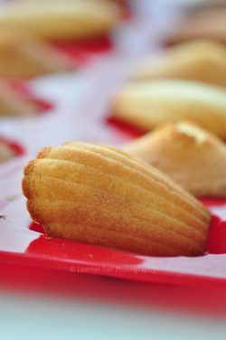 Madeleines Recipe (瑪德蓮蛋糕)