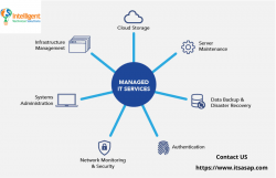 Choose The Specialist For Managed IT Services in US – ITSASAP