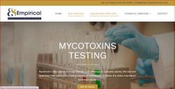 Mycotoxins mold