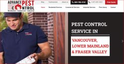 Pest control burnaby