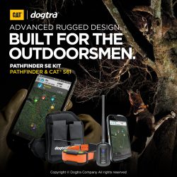 PATHFINDER MINI SE KIT | DOGTRA