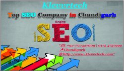 SEO Training company in Chandigarh