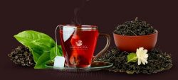 Most Popular Singapore Tea Brand – Haflong Tea