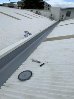 Waterproofing in Bay of Plenty