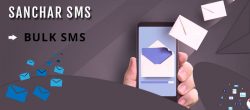 bulk SMS sending for business in Jaipur