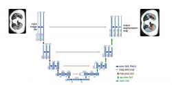 COVID-19 prediction models – MedAI