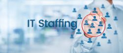 Direct IT Staffing Inc | Staffing Services