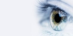 Best Optometrist Services