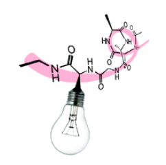 Fluorescence and Dye Labeling Peptides – Creative Peptides