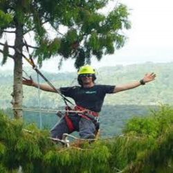 Tree Removal in Papakura