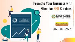 Increase Your Online Visibility With Our SEO Experts