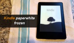 Kindle Paperwhite Frozen