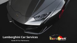 Lamborghini Experts for Your Vehicle