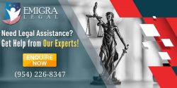 Legal Representation for a Immigration Case