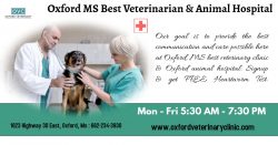 Oxford MS Veterinarian | Pet’s Clinic