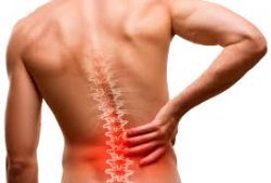 Back Pain Doc New Jersey