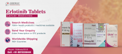 Wholesaler & Exporter Of Erlotinib