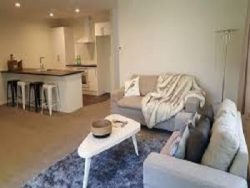 Seeking Morrinsville Builders