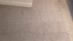 Carpet Cleaning Killester